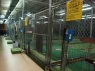 Batting Cages